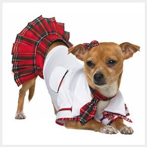 halloween-pet-costumes-2127157